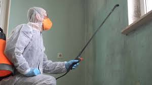 Trusted Greenville, NY Mold Remediation Experts